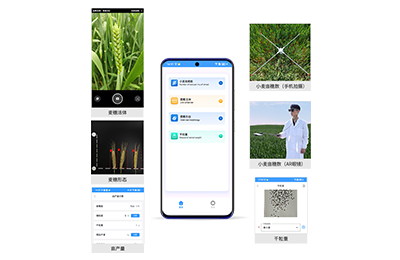 阜新市小麦亩穗数分析仪IN-XM02